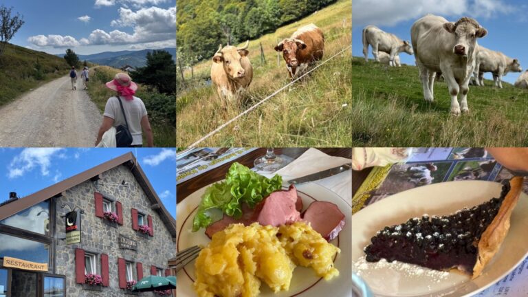 240815 sommets vosgiens auberge kastelberg 00